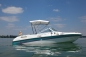 Bowrider Cobia mit Bodenseezulassung