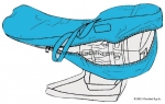 Schutztasche Aussenbordmotor von 20-40 PS